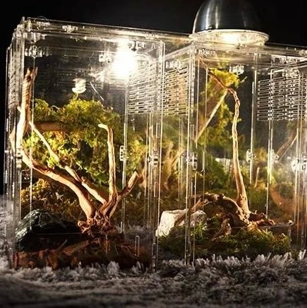 Insect & Reptile Enclosure Cage Terrarium