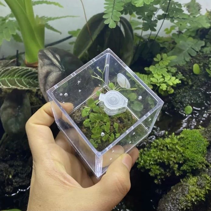 Insect & Reptile Mini Enclosure Cage Terrarium