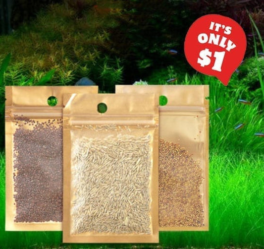 Aquarium Plant Seeds