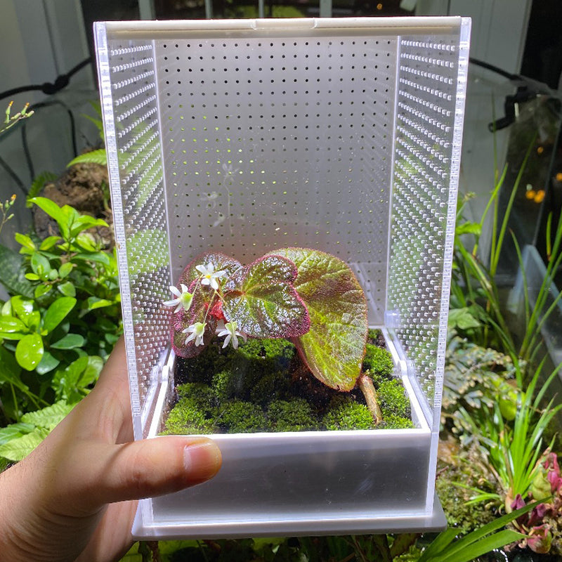 Jumping Spider / Mantis Enclosure Cage Terrarium