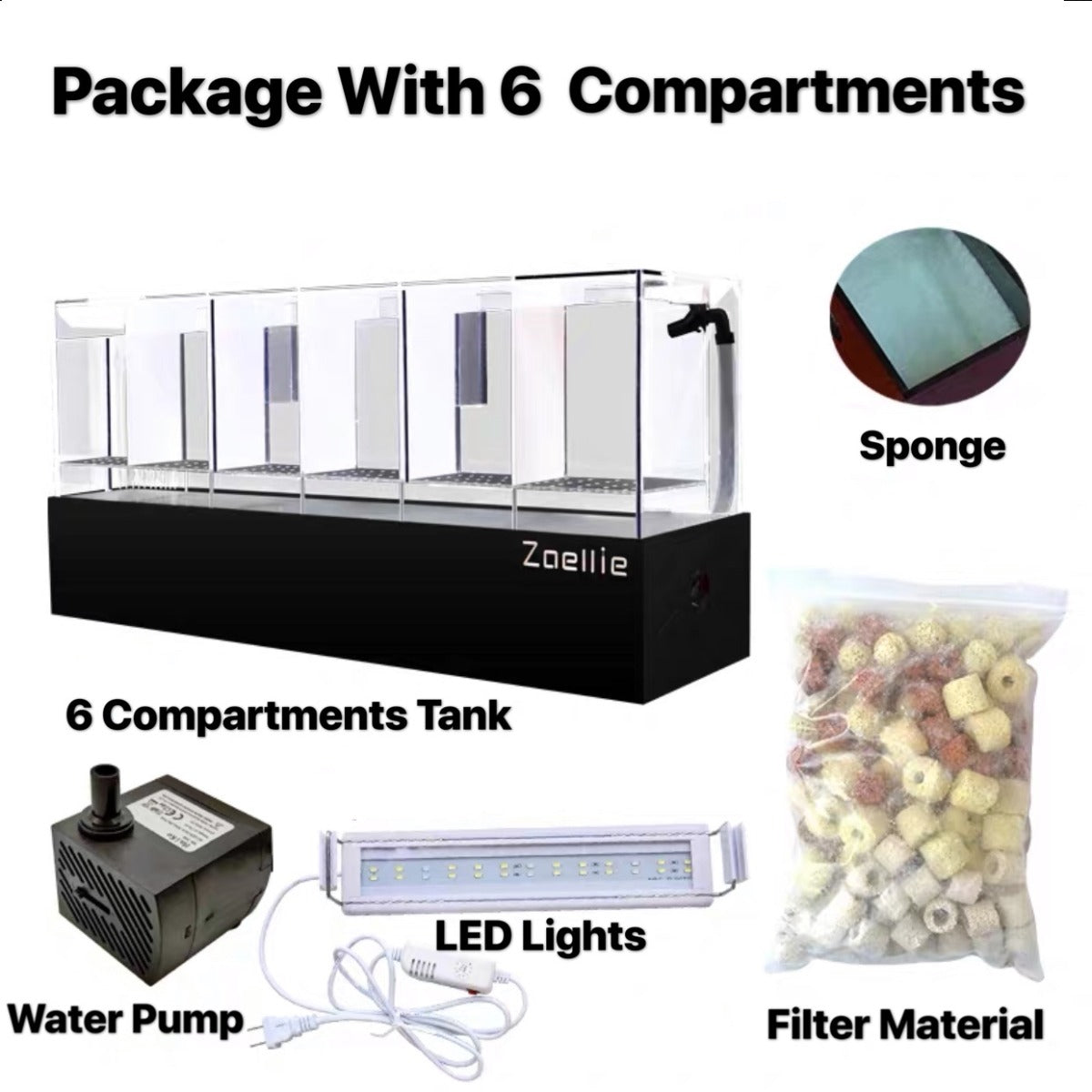 Betta Fish Multiple Tanks With Filtration