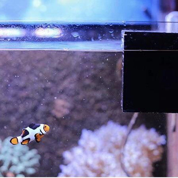 Automatic Brine Shrimp Hatchery Box For Saltwater Tank