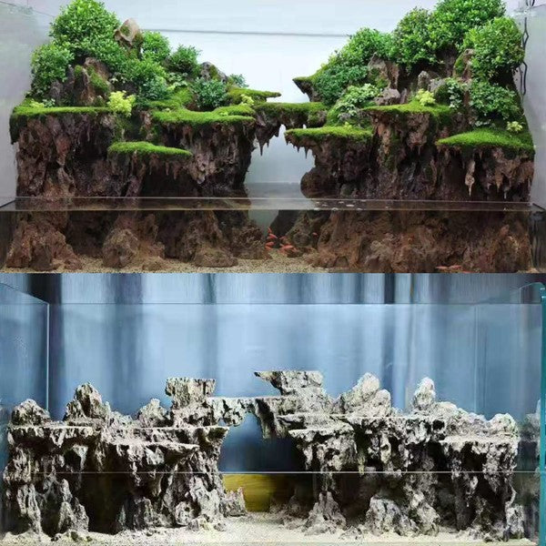 terrarium plants sale Complete Scaped Terrarium