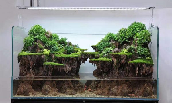 Complete Scaped Terrarium