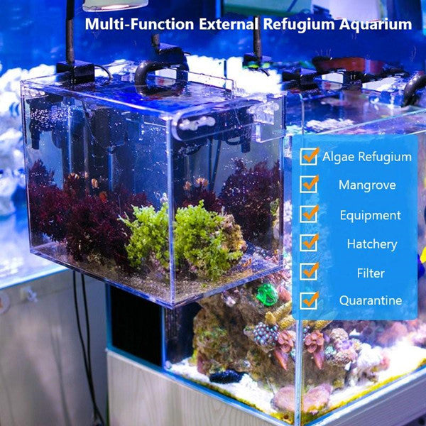 breeder box for fish External Refugium, Breeder, Breeding Box, Skimmer Container for Sale