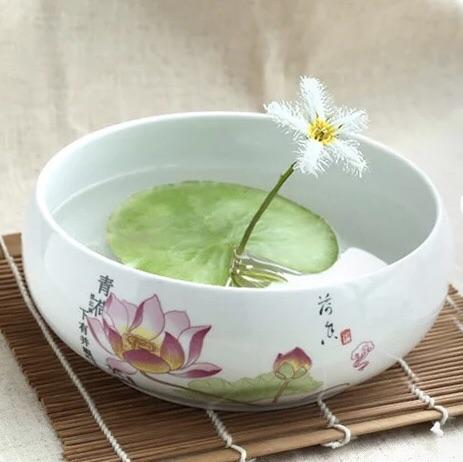 White Snowflake Waterlily (Nymphoides indica 'Montana')