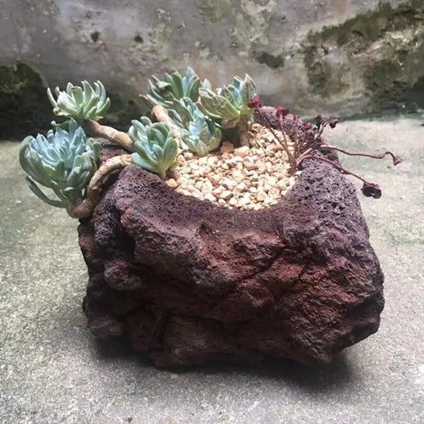 Lava stone flower pot