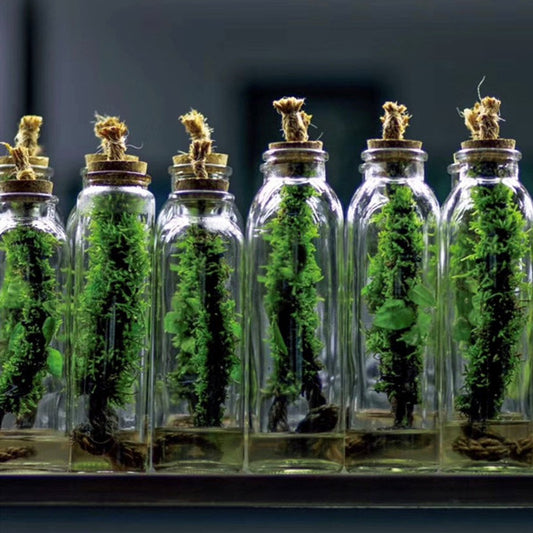 Moss Bottle