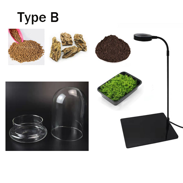 Terrarium Set with LED Grow Light