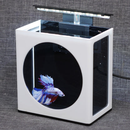 Desktop betta fish tank