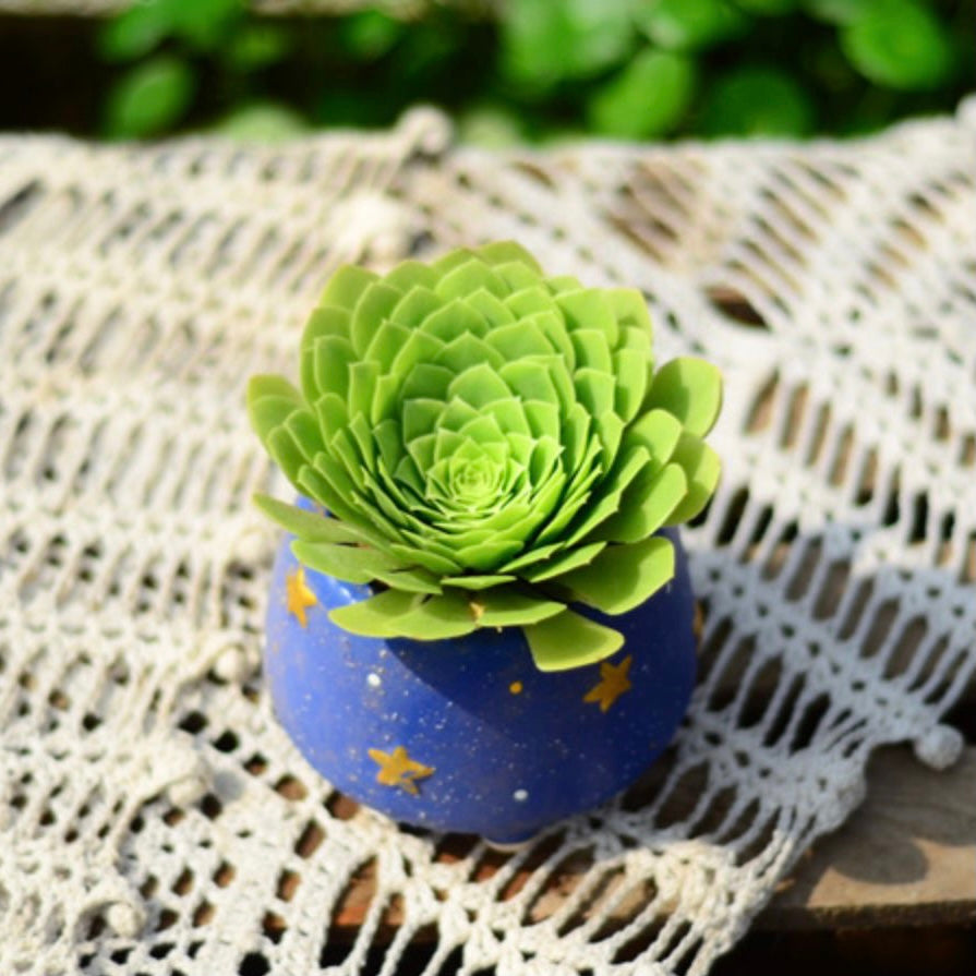 Party Platter(Aeonium)