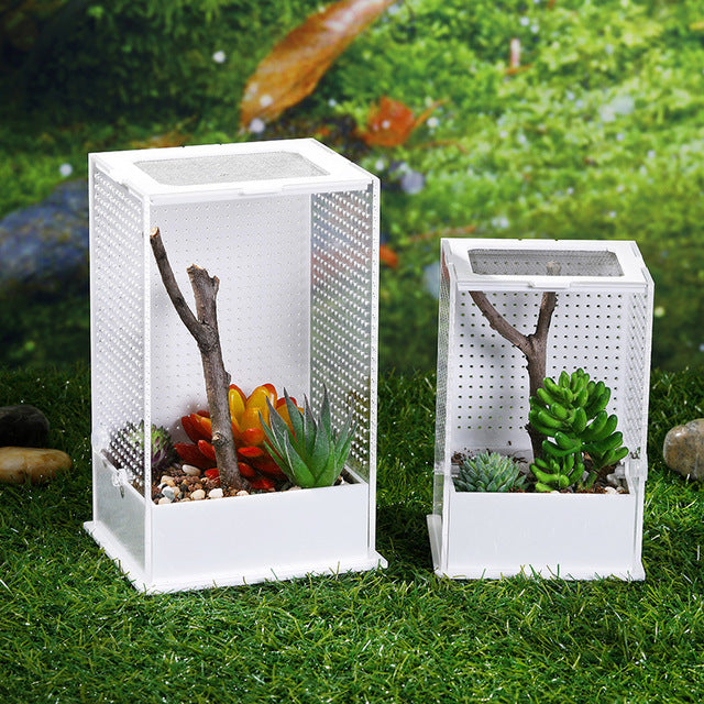 mantis terrarium plants Jumping Spider / Mantis Enclosure Cage Terrarium