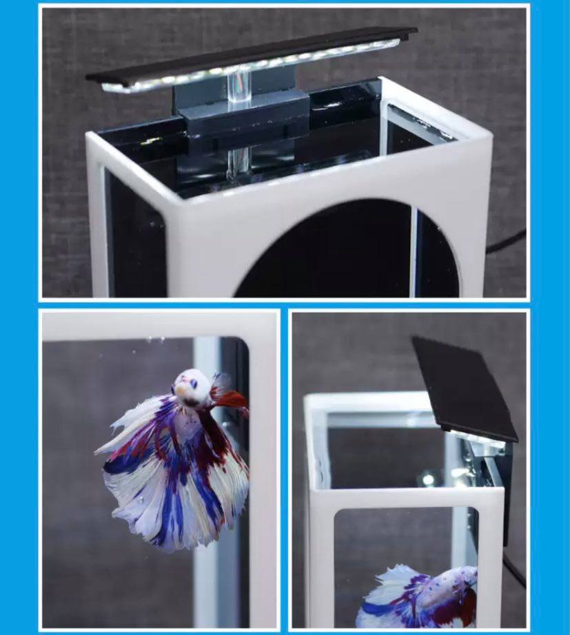 Desktop betta fish tank
