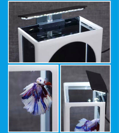 Desktop betta fish tank