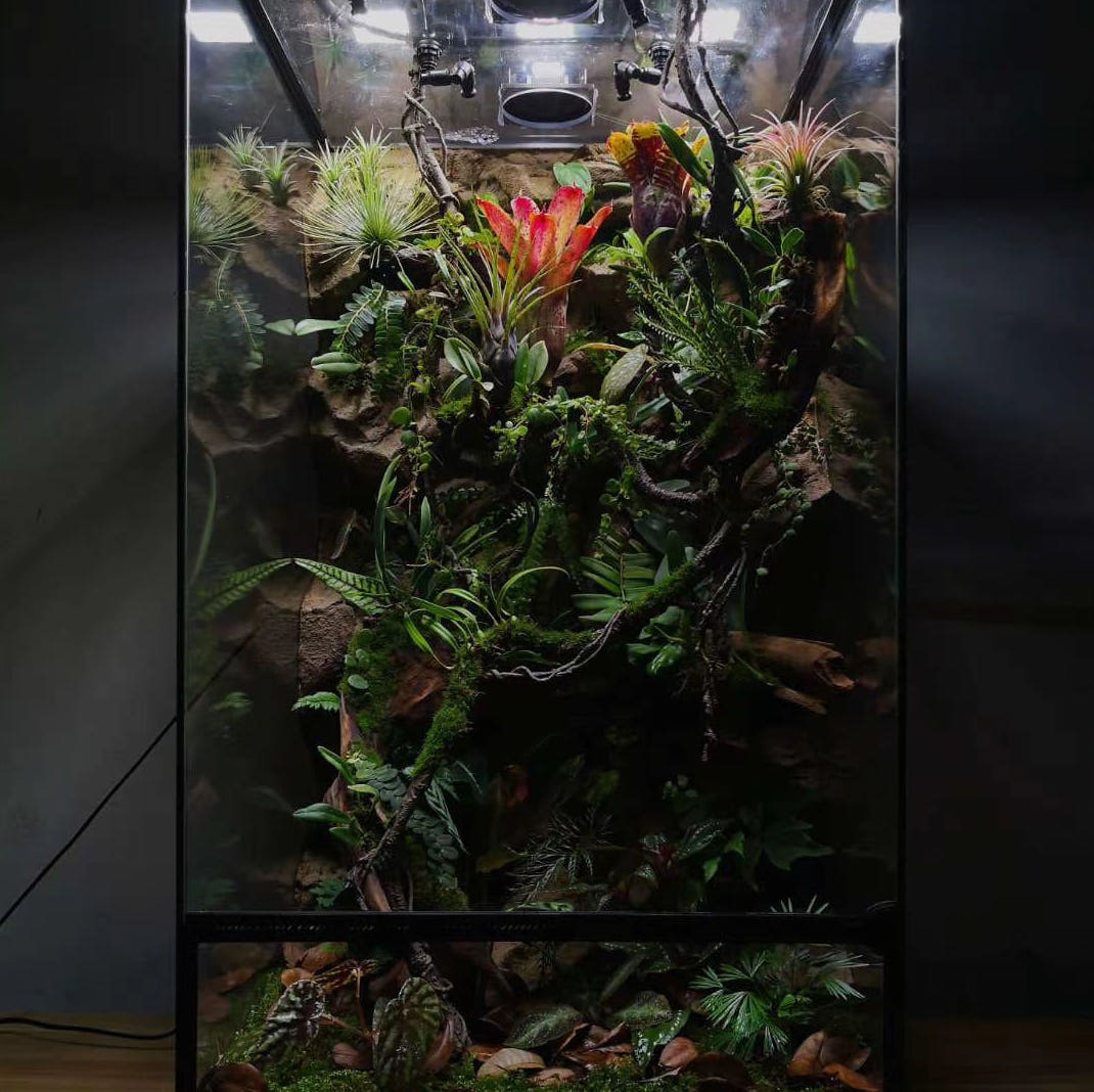Rainforest Terrarium Kit