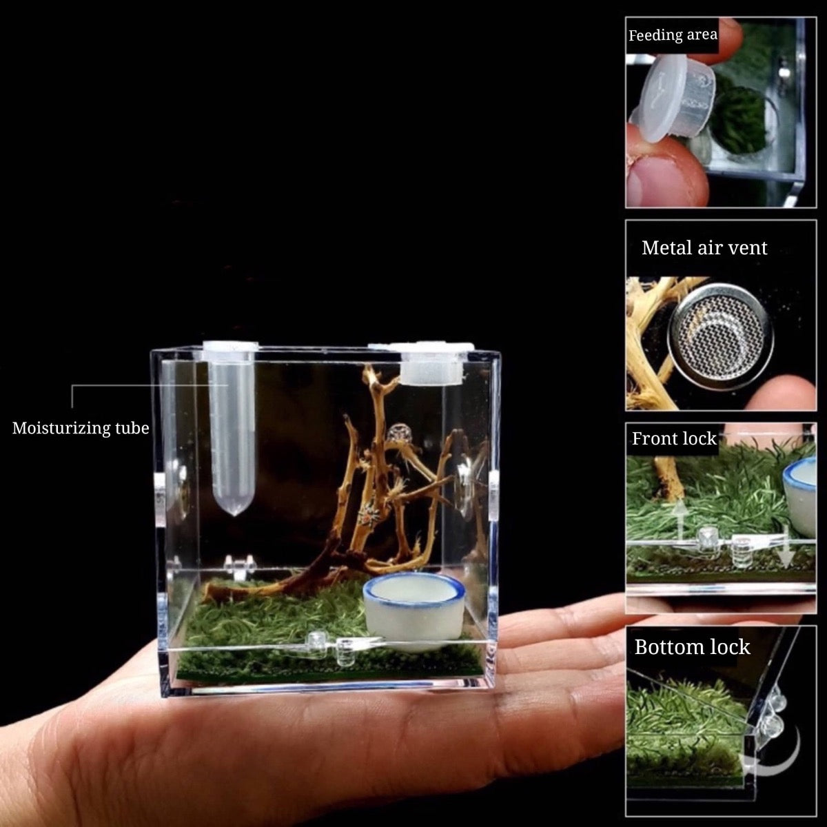 Insect & Reptile Mini Enclosure Cage Terrarium