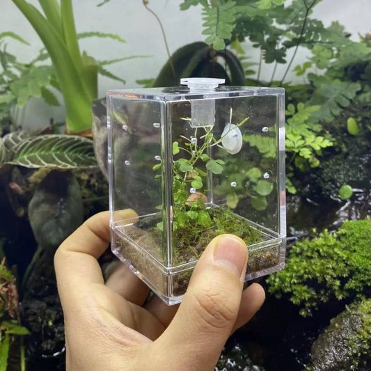 Insect & Reptile Mini Enclosure Cage Terrarium