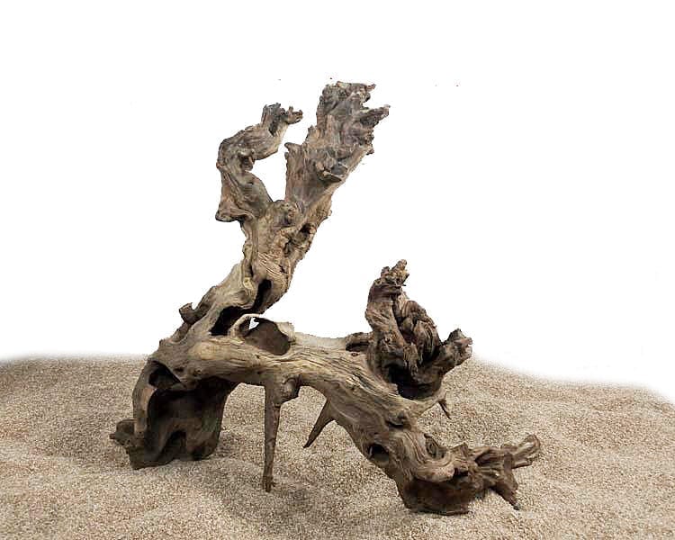 Aquarium Driftwood