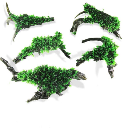 Moss on Driftwood