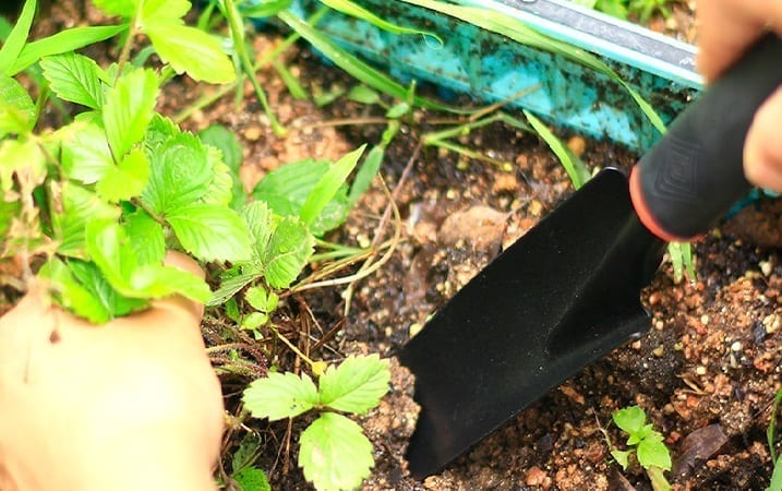 Garden Cultivating Tools 3pcs Mini Garden Tools Set 