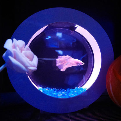 philodendron betta fish Mini Desktop Aquarium Fish With Water Filtration LED(Betta Fish Tank) for Sale