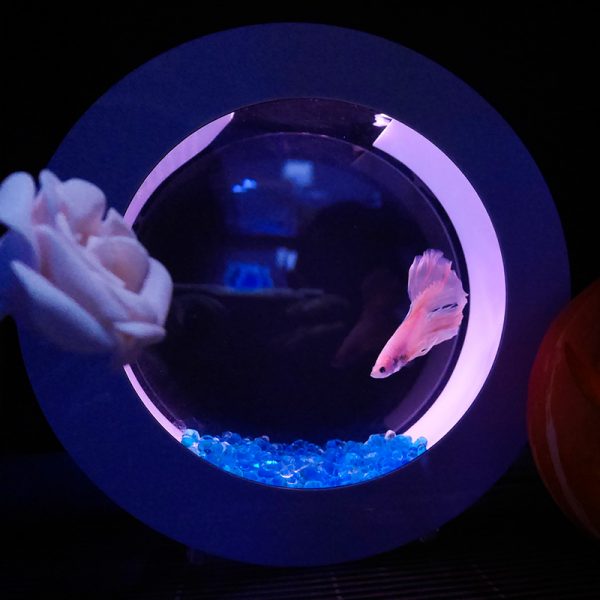 Mini Desktop Aquarium Fish With Water Filtration LED（Betta Fish Tank）