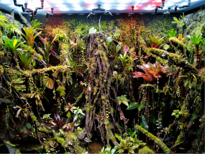 Aquarium Plant Freshwater Fish Tank – Ecological Plant Fiber Cotton