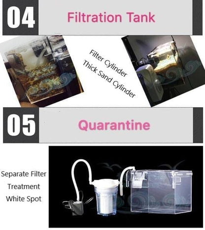 External Refugium, Breeder, Breeding Box, Skimmer Container