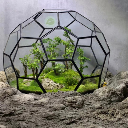 Geometric glass Terrarium