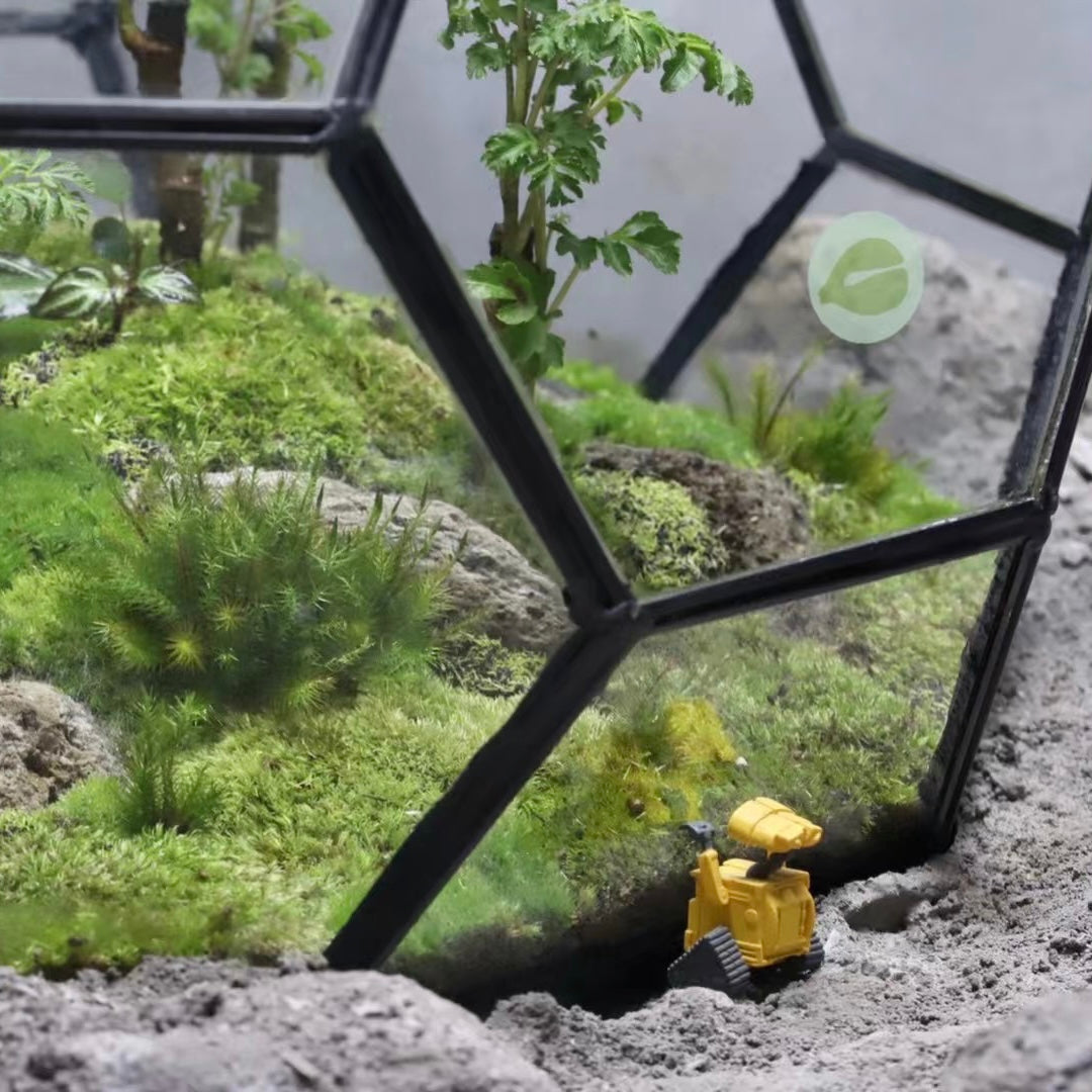 Geometric glass Terrarium