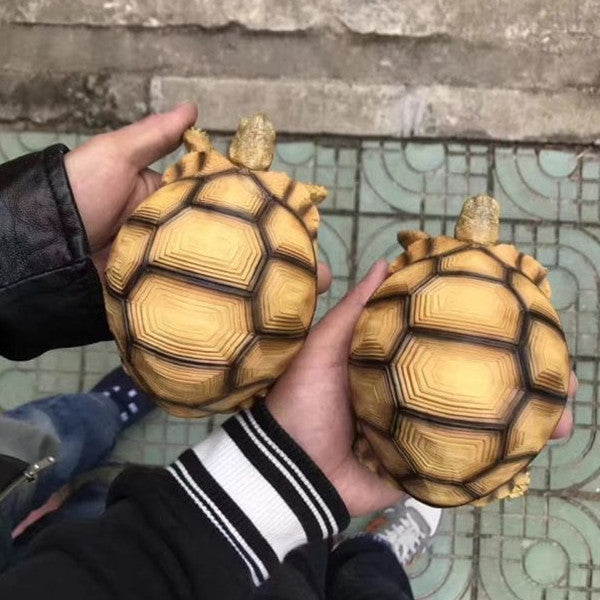 Handcrafted Turtle Figurine – Ploughshare Tortoise model