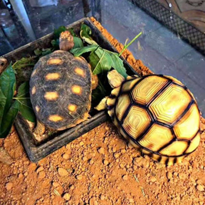 Handcrafted Turtle Figurine – Ploughshare Tortoise model