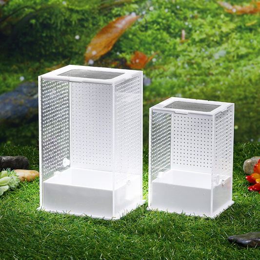 Jumping Spider / Mantis Enclosure Cage Terrarium