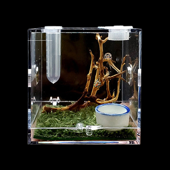 Invertebrates Enclosures – My Home Nature