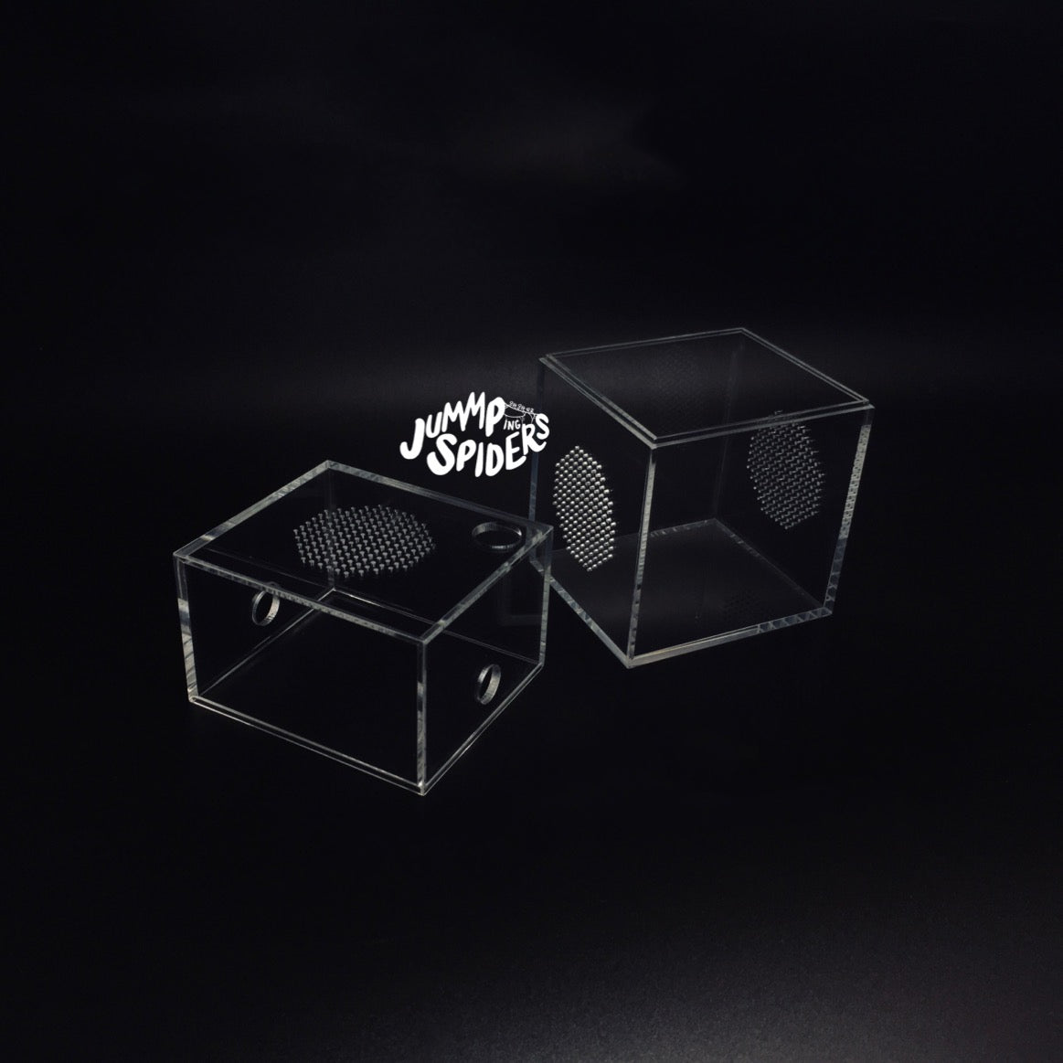 Jumping Spider  Mantis Mini Enclosure Cage Terrarium