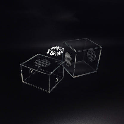 Jumping Spider  Mantis Mini Enclosure Cage Terrarium