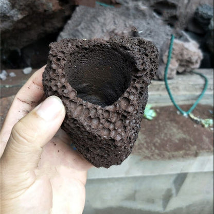 Lava stone flower pot