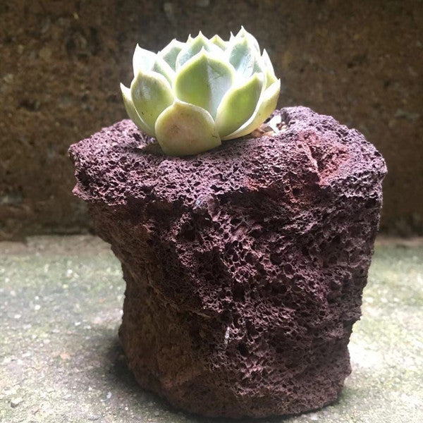 Lava stone flower pot