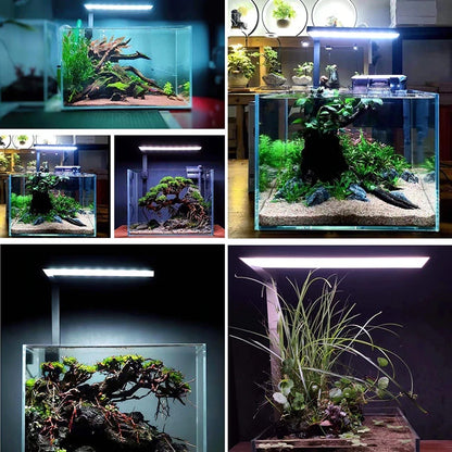 Cacifeno full spectrum LED light (RGB 3 in 1)