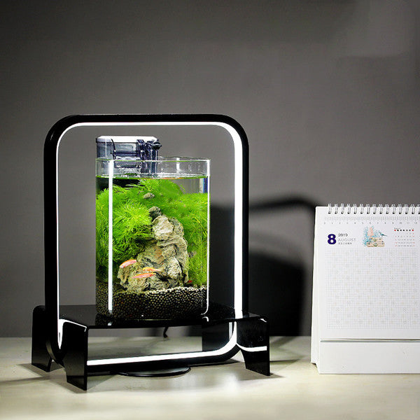 Miniature Ecological Fish Tank