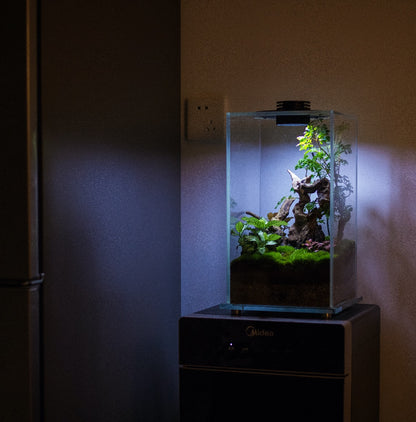 Cubic Micro Landscape Terrarium with LED Grow Light