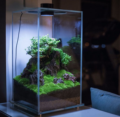 Cubic Micro Landscape Terrarium with LED Grow Light