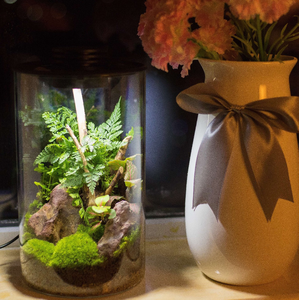 terrarium plante jardiland Cylindrical Micro Landscape Terrarium with LED Grow Light for Sale