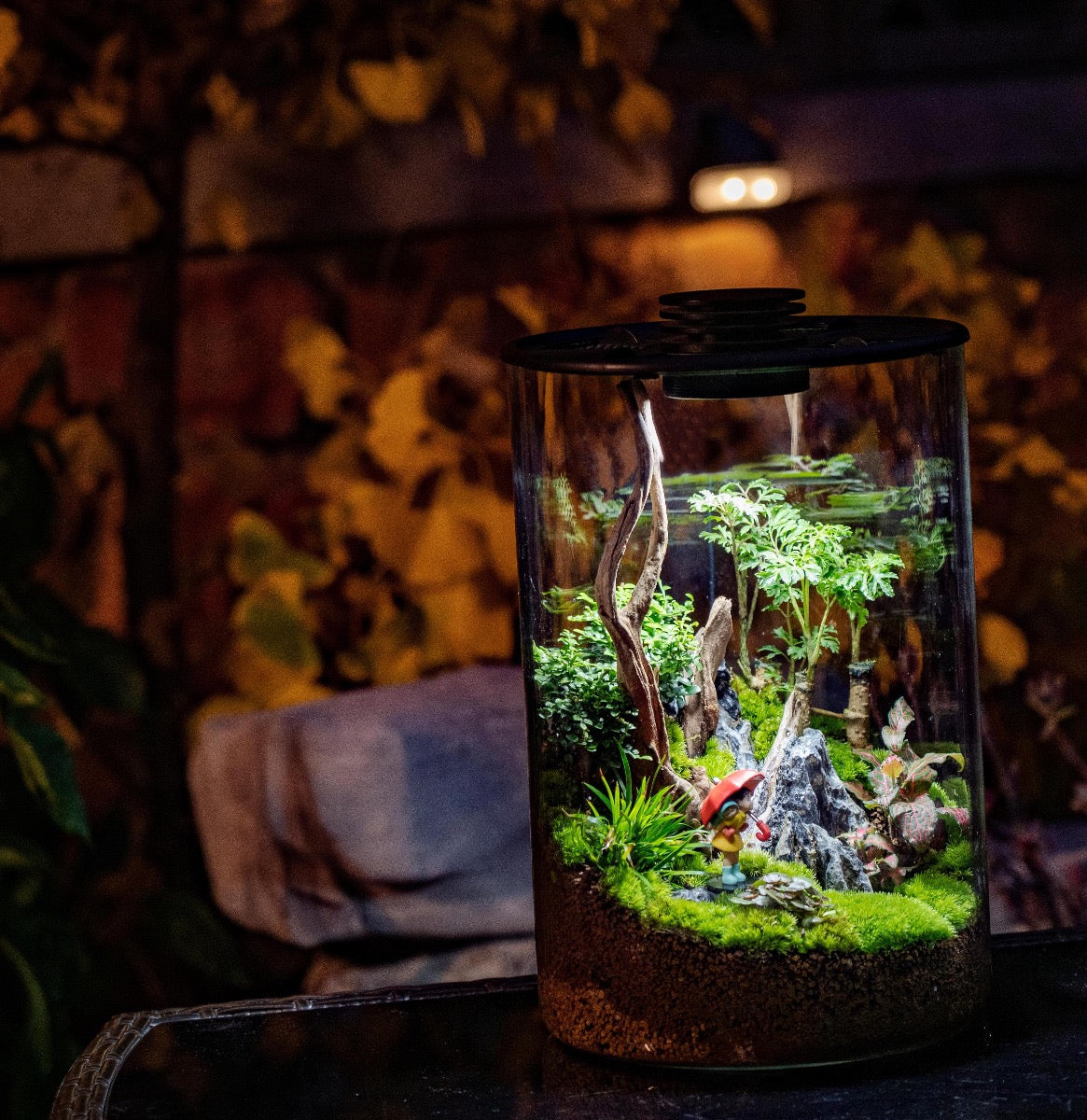 glass plant terrariums for sale Cylindrical Micro Landscape Terrarium with LED Grow Light