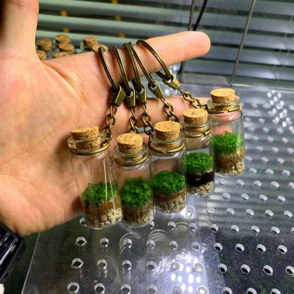 Moss Bottle Keychain