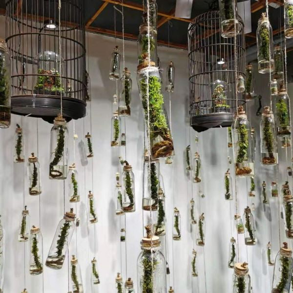 Moss Bottle