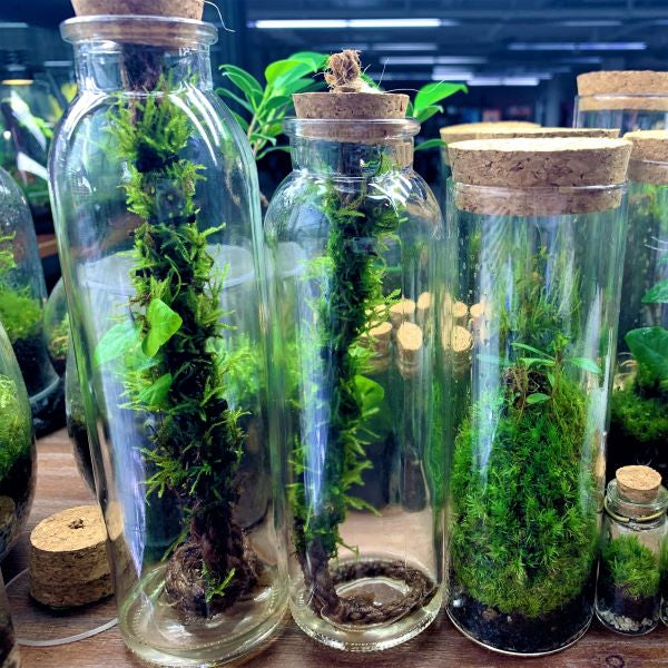 Moss Bottle