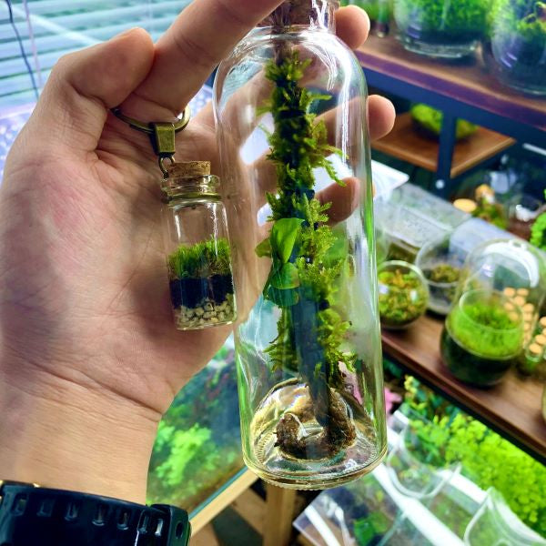 Moss Bottle