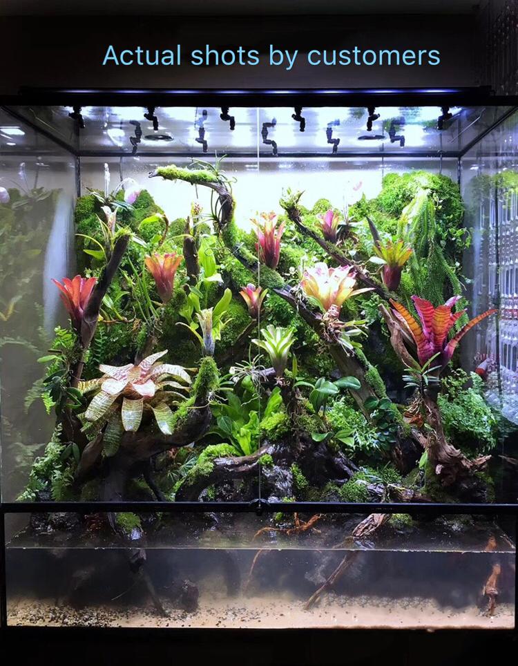Nighthawk LED Grow Lights