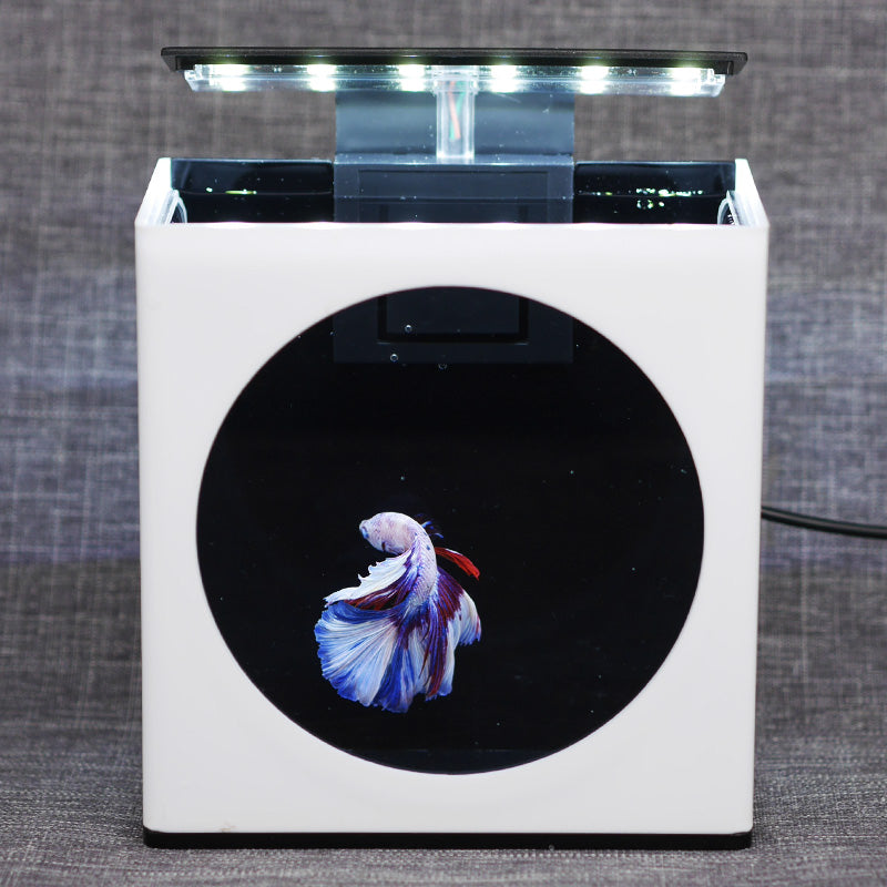 Desktop betta fish tank